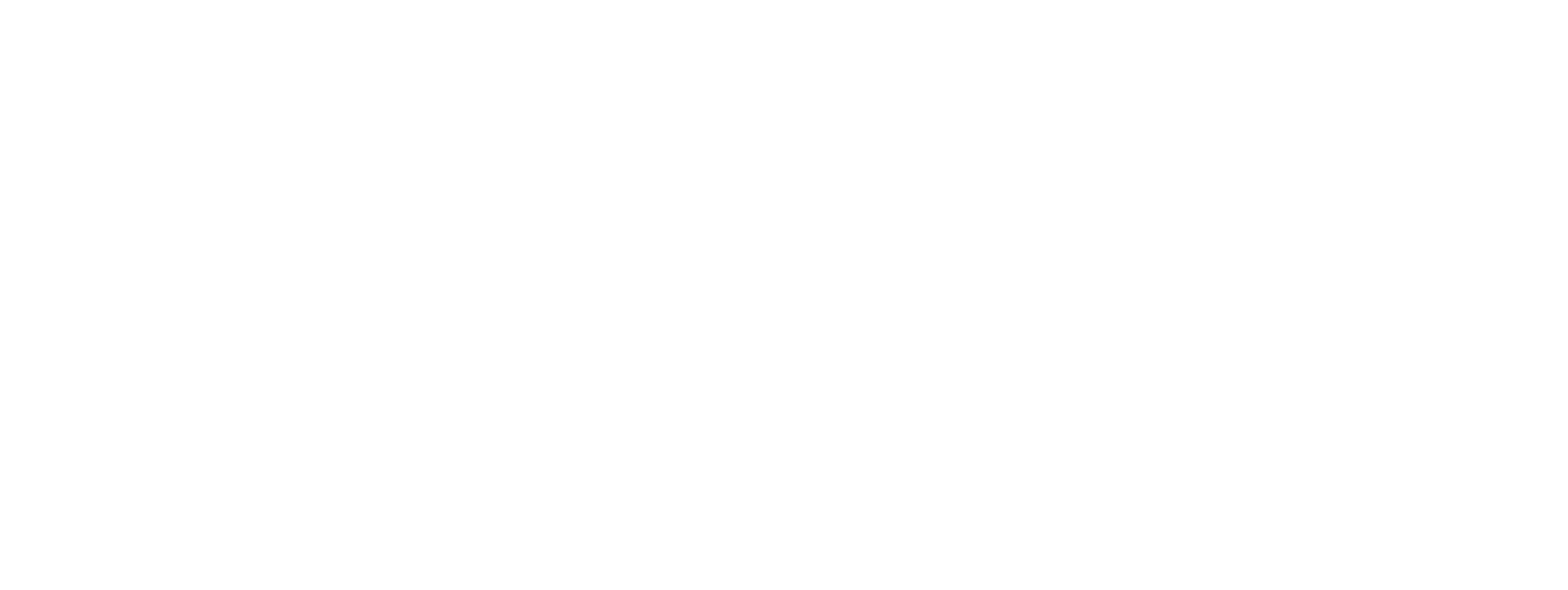 The Voidner